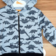 Mikina COOL Dino 3136